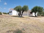 vendita località Tiana strada statale 125 6 vani 240mq