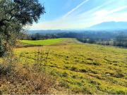 vendita monolocale 11000mq