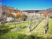 vendita monolocale 2500mq