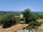 vendita monolocale 30000mq