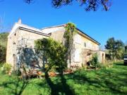Vendita Rustico casale da 380 mq con giardino con posto auto
