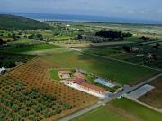 Vendita Rustico casale da 1060 mq