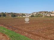 vendita SP 38 monolocale 100000mq