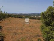 vendita SP 4 35000mq