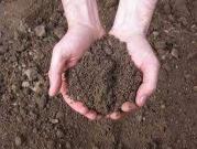 vendita SS188 24000mq