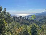 vendita Strada Provinciale 5 vani 140mq