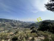 vendita Strada Tuvu 10 vani 273mq