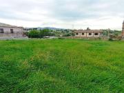 vendita Via angelo poliziano monolocale 1100mq