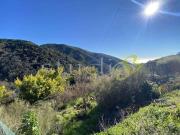 vendita Via Antico Principato 6 vani 200mq