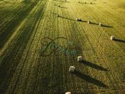 vendita Via banchieri monolocale 6000mq