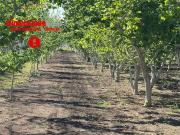 vendita via boscofangone monolocale 3380mq