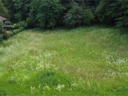 vendita Via Carnisio monolocale 1450mq