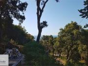 vendita Via della Cicala 8 vani 116mq