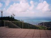 vendita Via della Né 15 vani 384mq