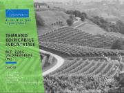 vendita Via Erizzo monolocale 15000mq