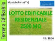 vendita Via Foresto 2500mq