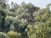 vendita Via Generale Vincenzo Rossi 10 vani 570mq