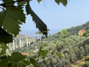 vendita Via Libero Alborno 15 vani 300mq