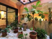 vendita via polisena 12 vani 360mq