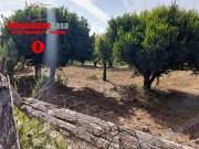 vendita via polvica monolocale 2500mq