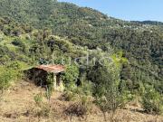 vendita Via Provinciale 20 vani 540mq