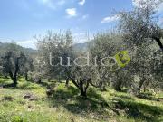 vendita Via Provinciale monolocale 1mq