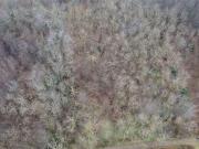 vendita Via Roma monolocale 1018mq