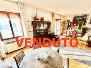 vendita via sauro trilocale 123mq