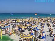 Vendita villetta a Lido dei Pini, Ardea