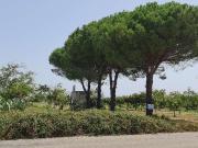 vendita Zona Padalini monolocale 6000mq