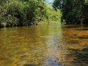 VENDO 15 HECTARES BEIRA RIO SÃO MIGUEL Próximo São...