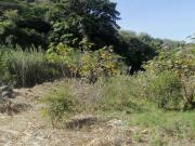 venta de terreno de 2000 m2 en el centro de Guayllabamba