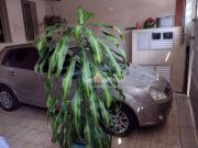 Vendo 2 casas no mesmo terreno de 2 dormitórios cada,...