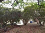 VENDO 35 hectares P/ MORADIA LAZER CULTIVO HARAS EM...