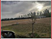 Vendo 3 1/2 ha. Rama Caída, San Rafael