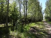 VENDO 3 lotes juntos o separados