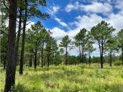 VENDO 40 HAS DE CAMPO EN YACANTO