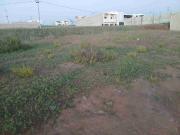 Vendo 4 terrenos de 200 Mts cada uno