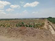 VENDO 5,3 TOPOS EN LA CANO LA JOYA CON DOTACION DE AGUA...