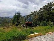 VENDO 5 HECTAREAS EN TUMBACO CON AGUA POTABLE, LUZ Y VIA...