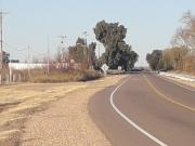 VENDO 7 HECTAREAS EN SAN RAFAEL MENDOZA