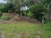 VENDO 8090 M2 DE TERRENO EN EL LIBRAMIENTO DE COMALA...