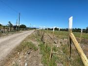 Vendo 8 parcelas en Km 7.5 camino a Pinto