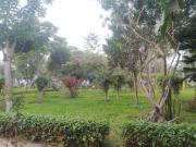 Vendo amplio departamento frente a parque