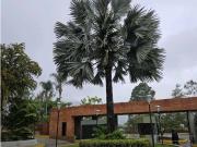 Vendo apartamento 315m2 Colinas de La Tahona 5292