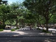 Vendo Apartamento de 2 Quarto com Suíte na Barra