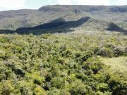 VENDO BELÍSSIMA CHACARA COM 7 HEQUITARES DE TERRA PLANA...