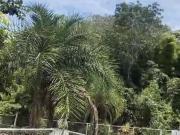 VENDO BELÍSSIMA CHÁCARA COM CASA DE ANDAR PISCINA AÇUDE...