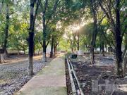 VENDO BONITO TERRENO CON ALBERCA, TOTALMENTE BARDEADO,...