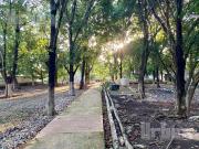 VENDO BONITO TERRENO CON ALBERCA, TOTALMENTE BARDEADO,...